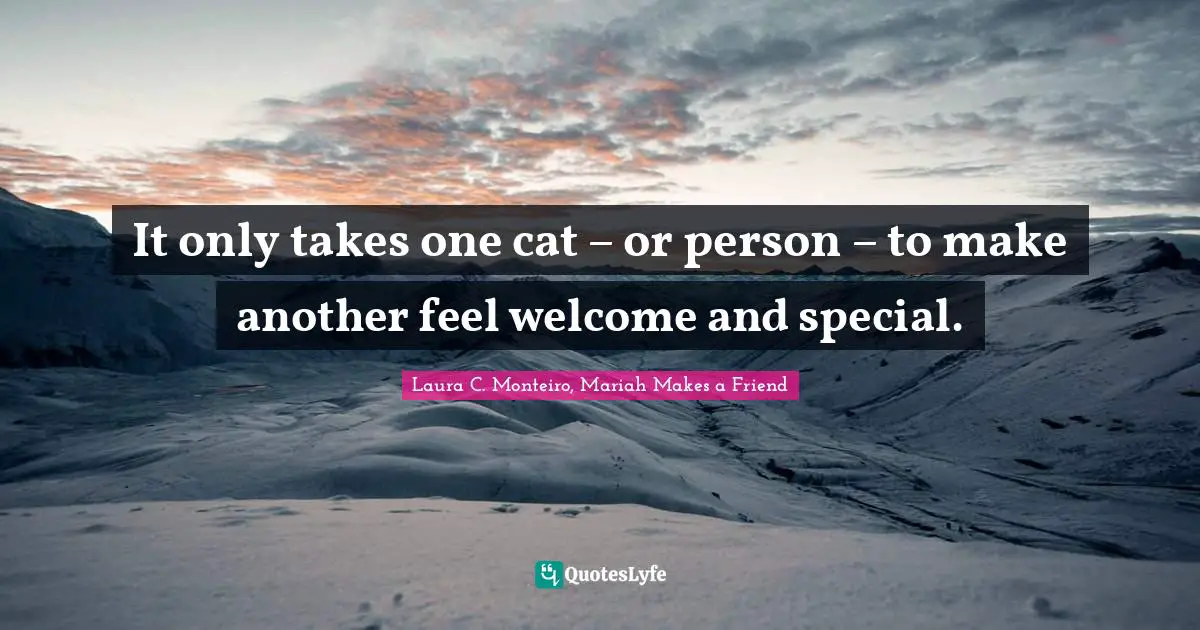 It only takes one cat – or person – to make another feel welcome and special.