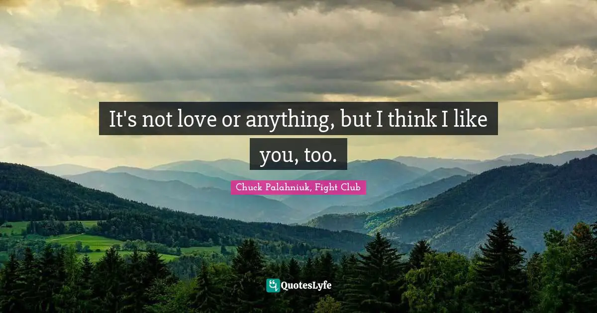 Chuck Palahniuk, Fight Club Quotes: It's not love or anything, but I think I like you, too.