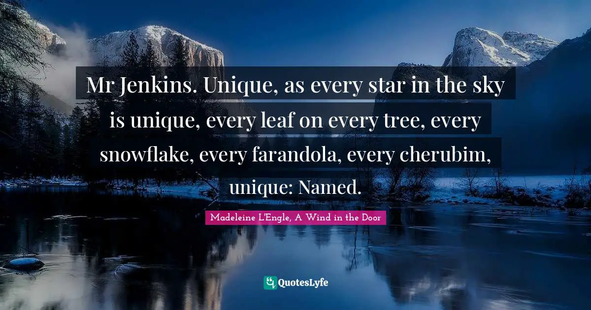 Mr Jenkins. Unique, as every star in the sky is unique, every leaf on every tree, every snowflake, every farandola, every cherubim, unique: Named.