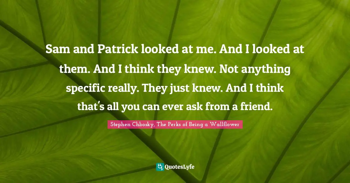 Stephen Chbosky, The Perks Of Being A Wallflower Quotes: "Sam and Patrick looked at me. And I looked at them. And I think they knew. Not anything specific really. They just knew. And I think that's all you can ever ask from a friend."