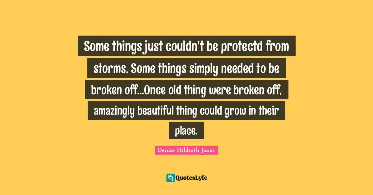 Hurricanes Quotes: "Some things just couldn't be protectd from storms. Some things simply needed to be broken off...Once old thing were broken off, amazingly beautiful thing could grow in their place."