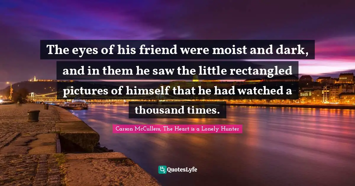 The eyes of his friend were moist and dark, and in them he saw the little rectangled pictures of himself that he had watched a thousand times.