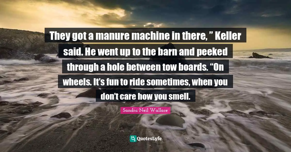 They got a manure machine in there, ” Keller said. He went up to the barn and peeked through a hole between tow boards. “On wheels. It’s fun to ride sometimes, when you don’t care how you smell.