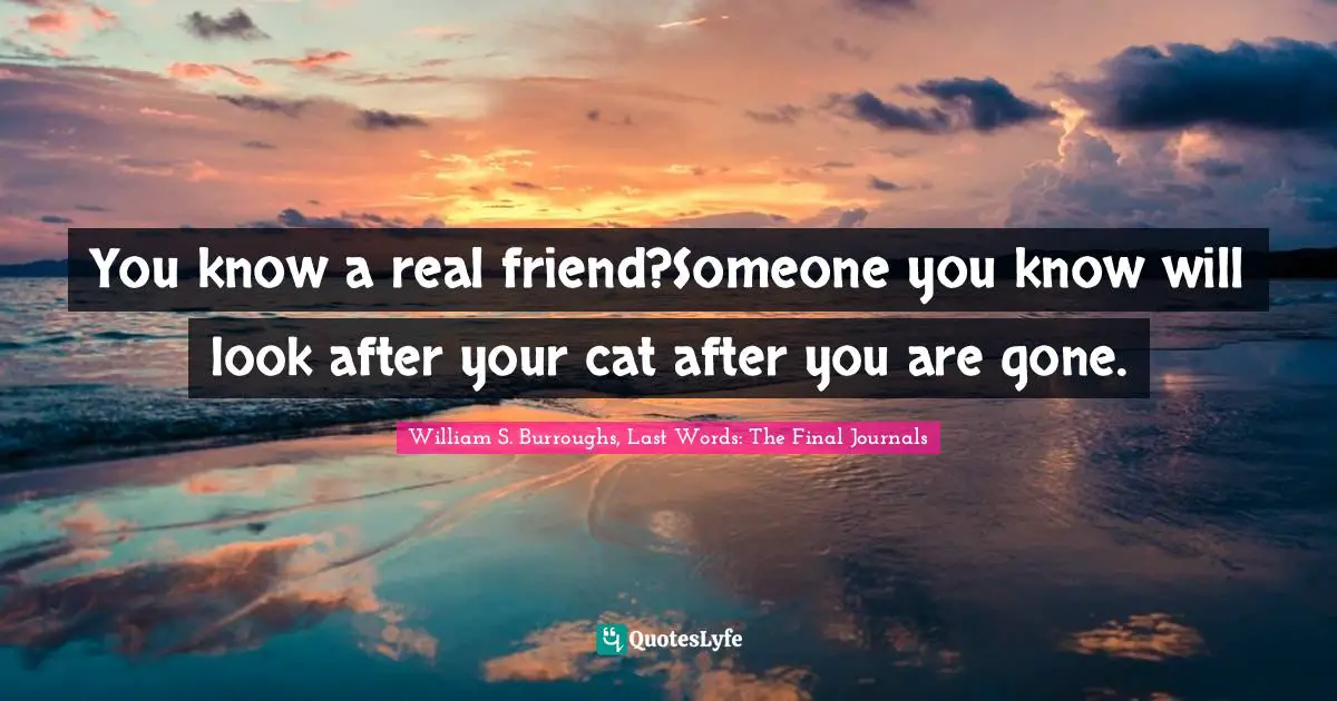 You know a real friend?Someone you know will look after your cat after you are gone.