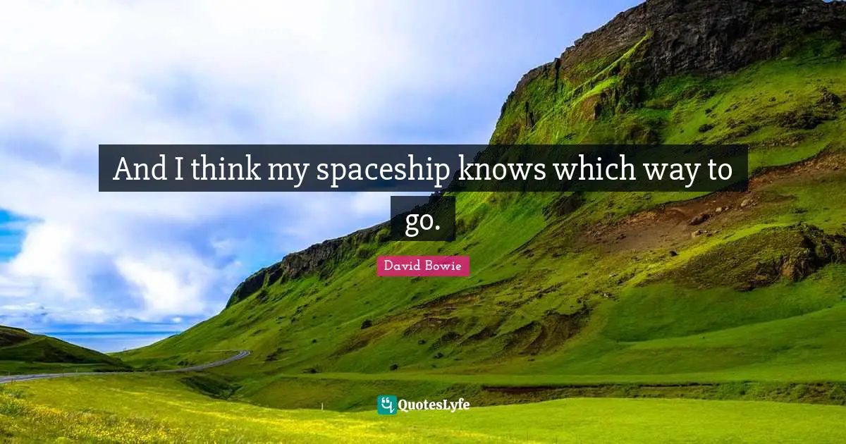 And I think my spaceship knows which way to go.