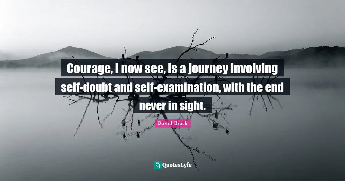 Self Examination Quotes: "Courage, I now see, is a journey involving self-doubt and self-examination, with the end never in sight."