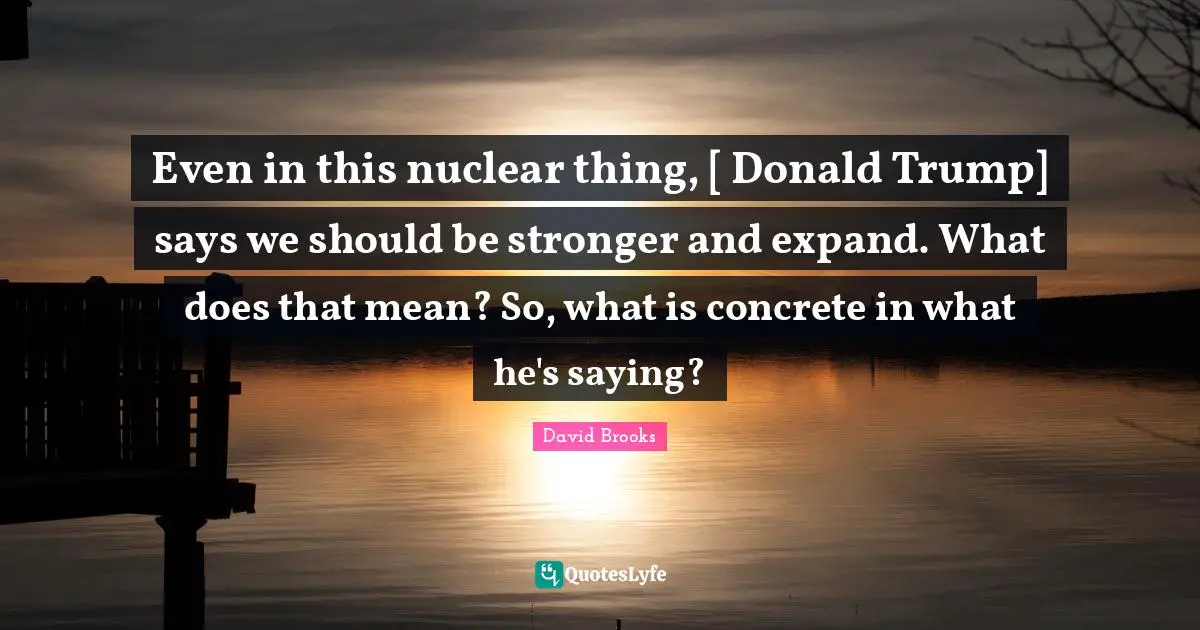 Even in this nuclear thing, [ Donald Trump] says we should be stronger and expand. What does that mean? So, what is concrete in what he's saying?