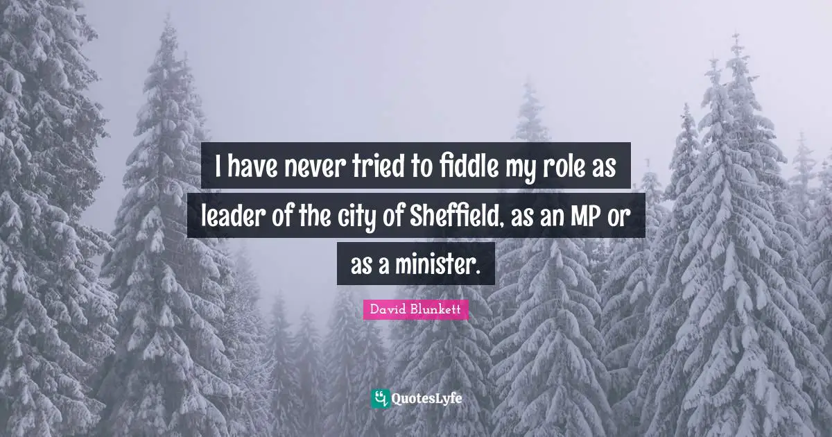 I have never tried to fiddle my role as leader of the city of Sheffield, as an MP or as a minister.