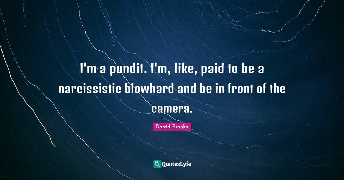 I'm a pundit. I'm, like, paid to be a narcissistic blowhard and be in front of the camera.