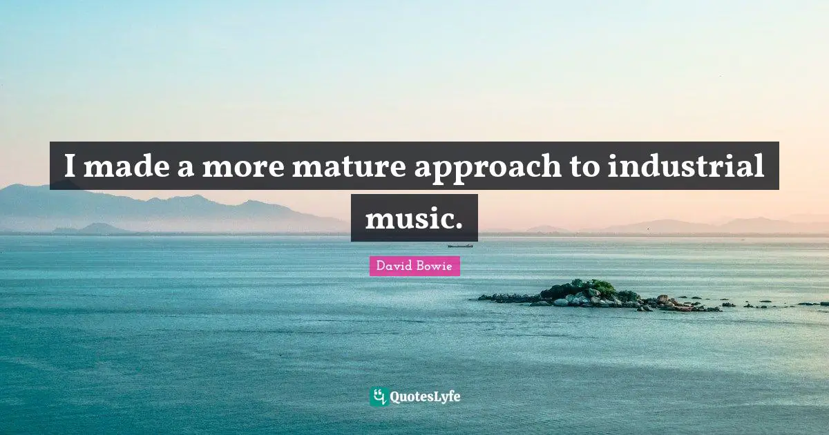 I made a more mature approach to industrial music.