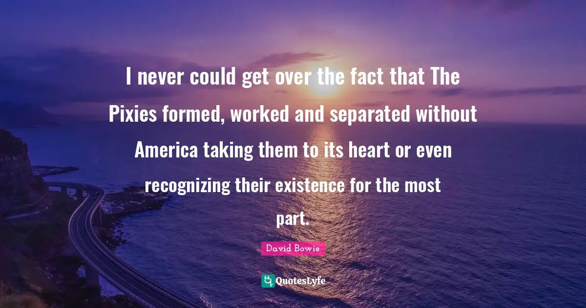 David Bowie Quotes: "I never could get over the fact that The Pixies formed, worked and separated without America taking them to its heart or even recognizing their existence for the most part."