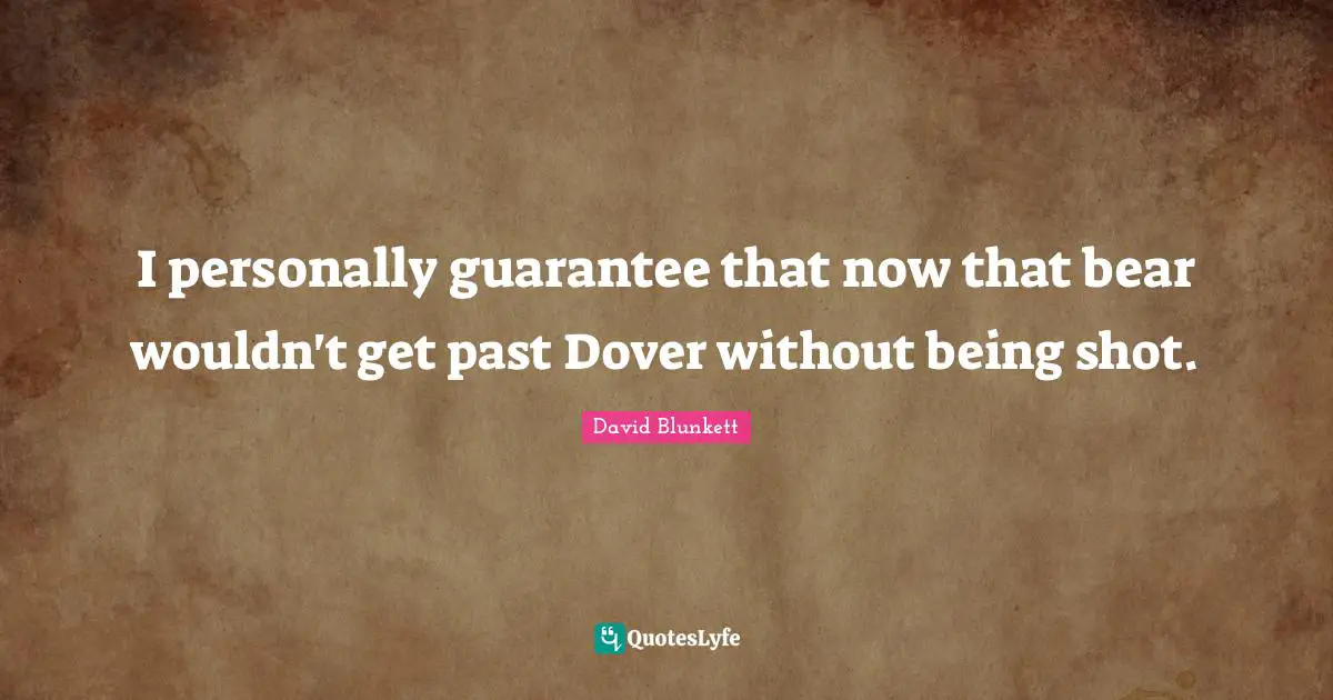 I personally guarantee that now that bear wouldn't get past Dover without being shot.