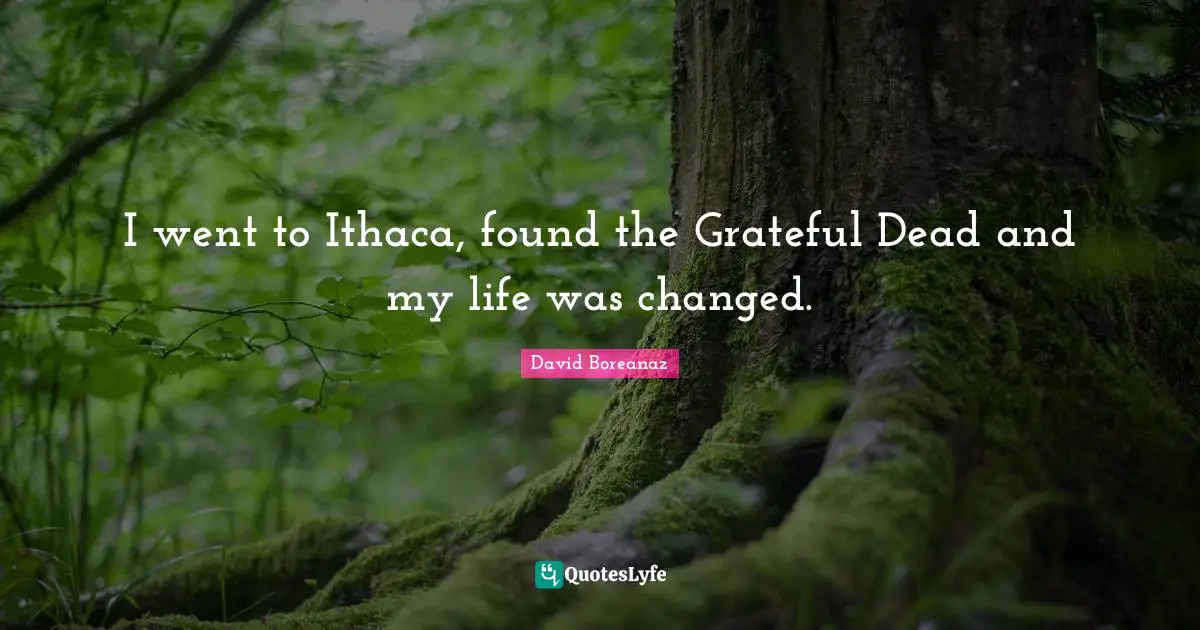 I went to Ithaca, found the Grateful Dead and my life was changed.