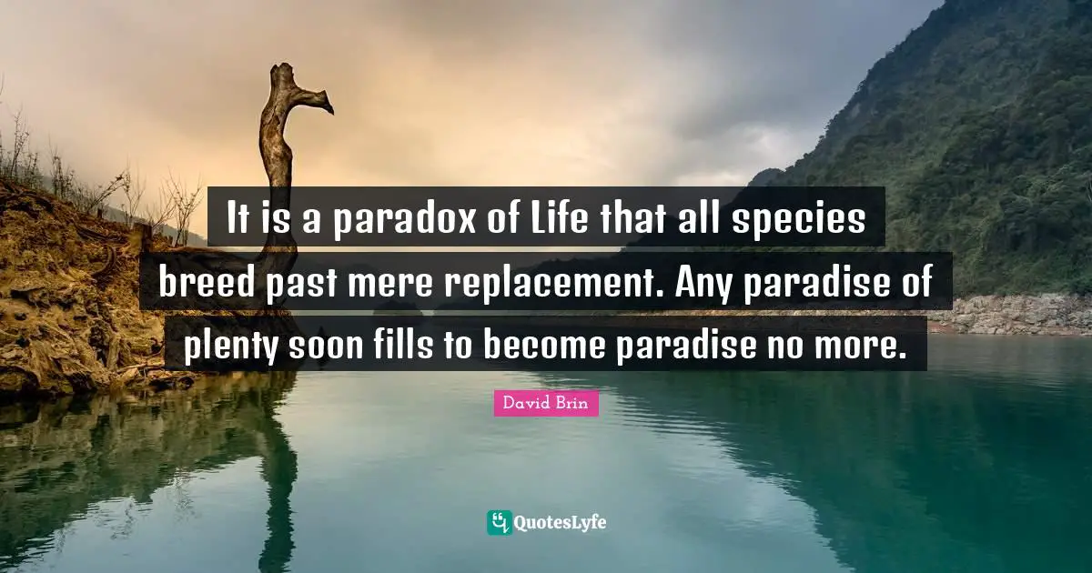 David Brin Quotes: "It is a paradox of Life that all species breed past mere replacement. Any paradise of plenty soon fills to become paradise no more."