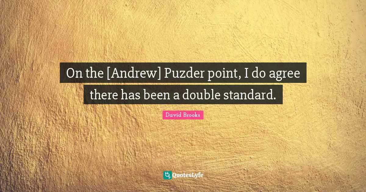 On the [Andrew] Puzder point, I do agree there has been a double standard.