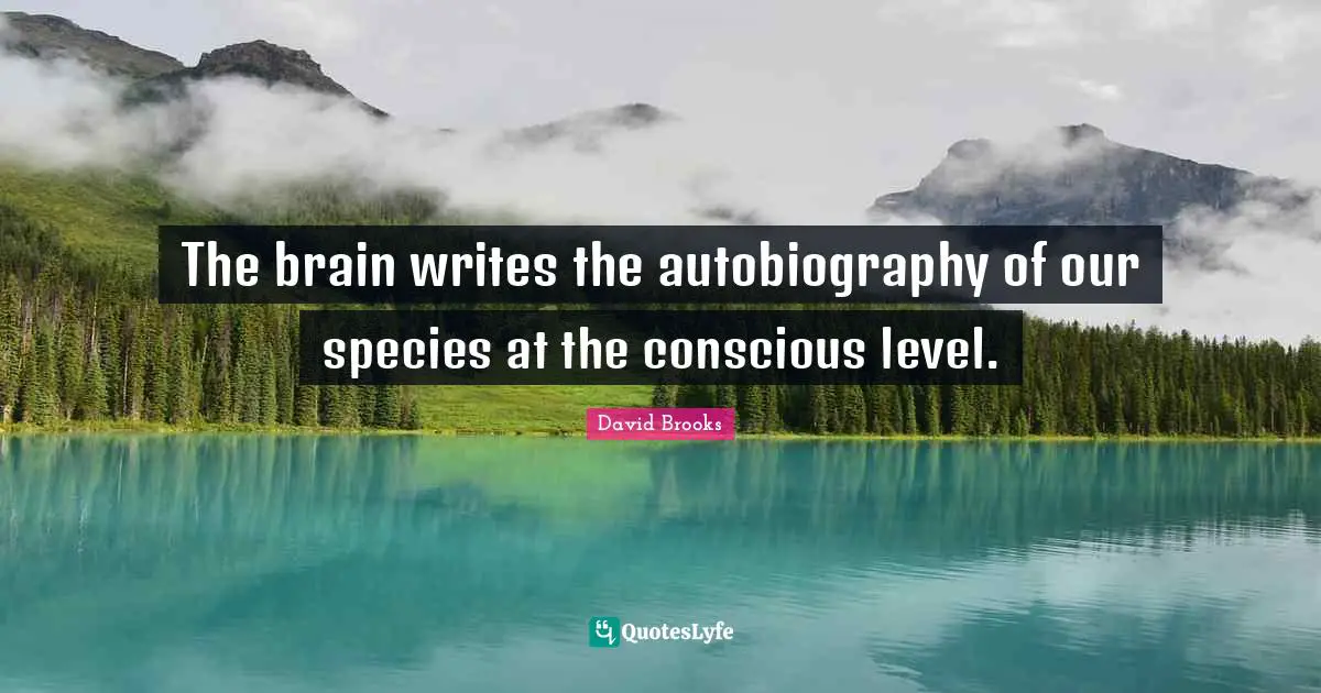 The brain writes the autobiography of our species at the conscious level.