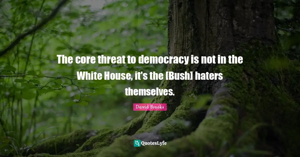 The core threat to democracy is not in the White House, it's the [Bush] haters themselves.