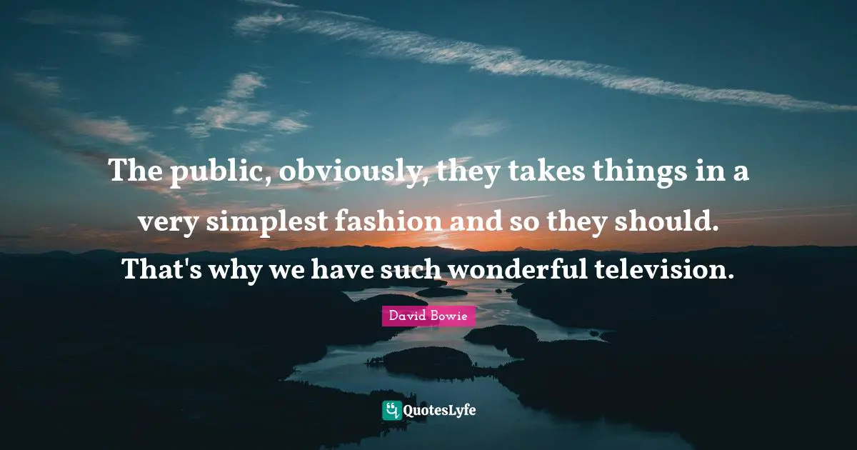The public, obviously, they takes things in a very simplest fashion and so they should. That's why we have such wonderful television.