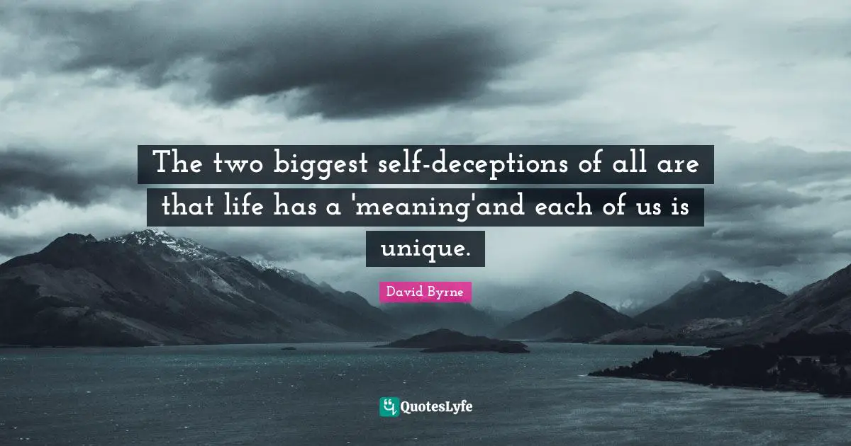 The two biggest self-deceptions of all are that life has a 'meaning'and each of us is unique.