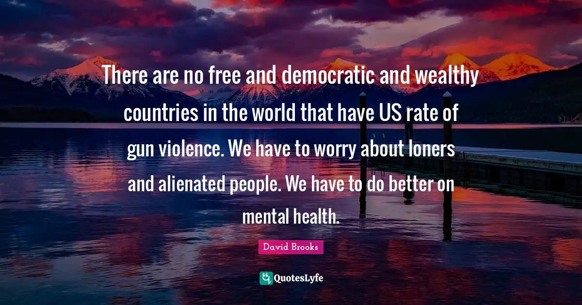 There are no free and democratic and wealthy countries in the world that have US rate of gun violence. We have to worry about loners and alienated people. We have to do better on mental health.