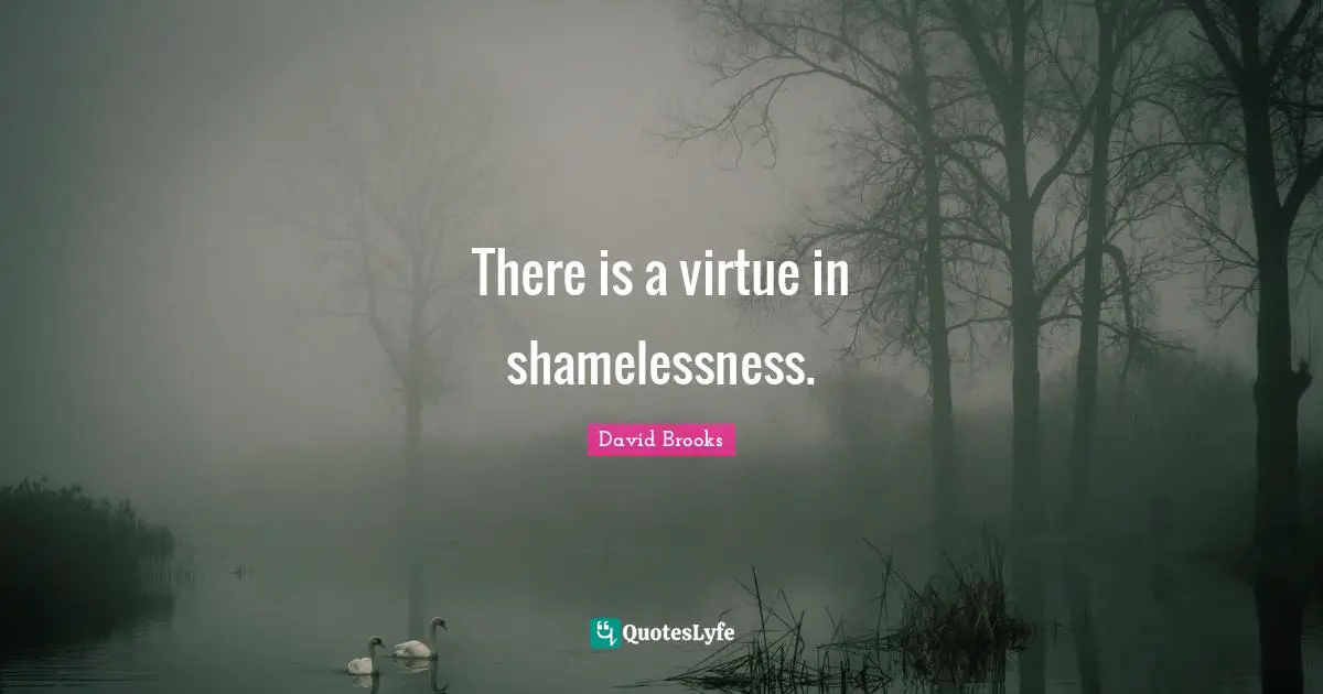 There is a virtue in shamelessness.
