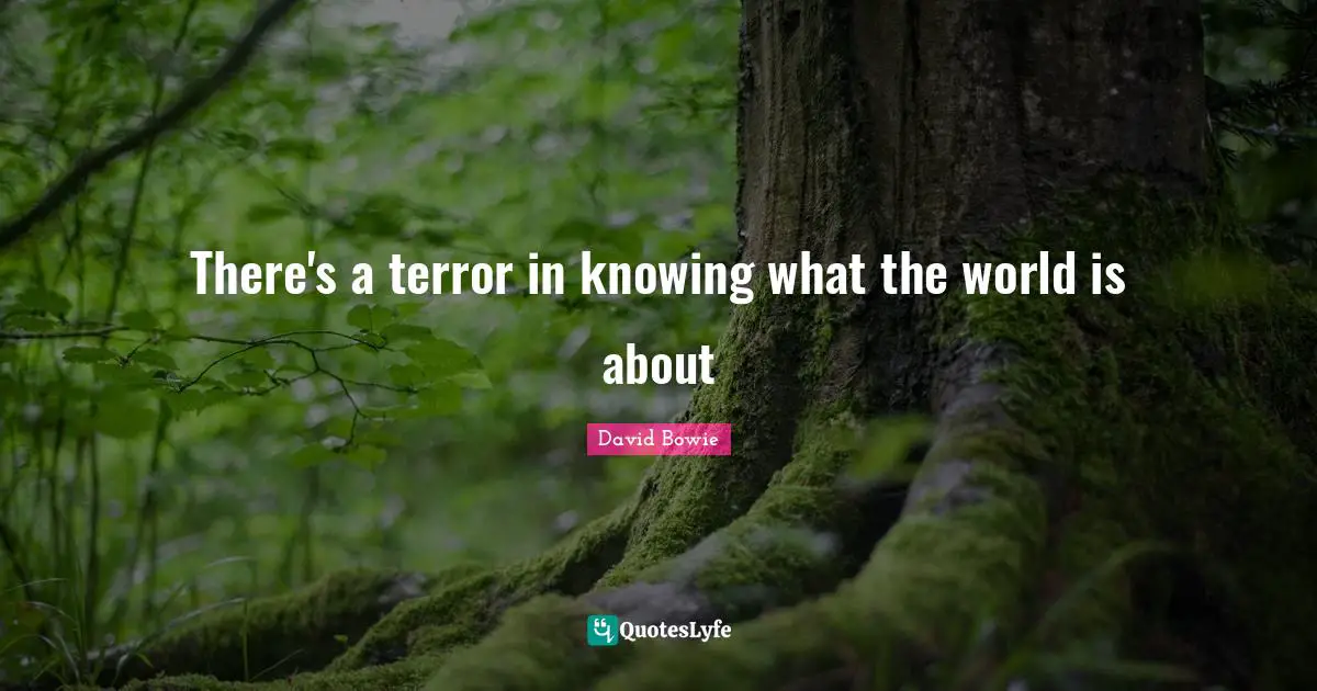 David Bowie Quotes: "There's a terror in knowing what the world is about"