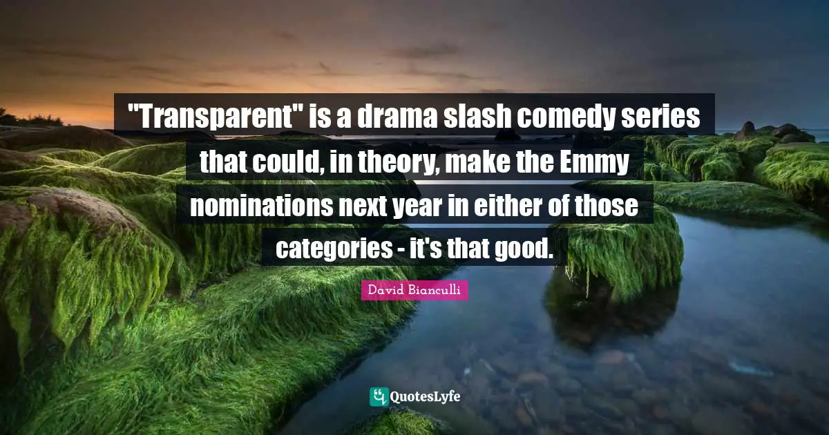 Nominations Quotes: ""Transparent" is a drama slash comedy series that could, in theory, make the Emmy nominations next year in either of those categories - it's that good."