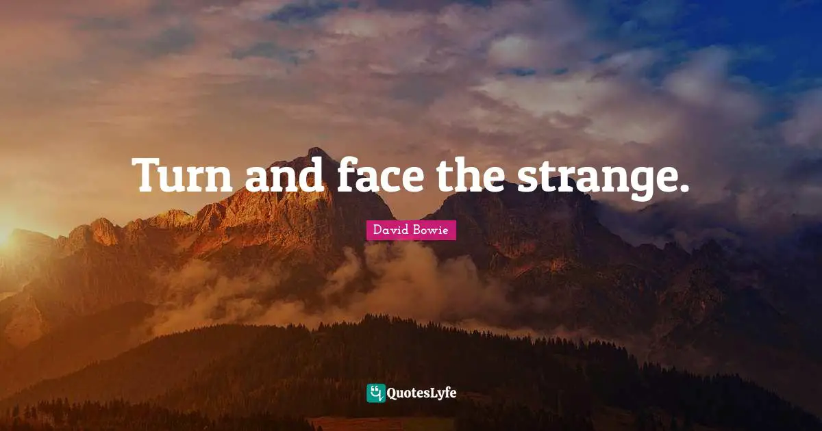 Turn and face the strange.