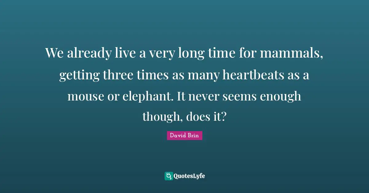 David Brin Quotes: "We already live a very long time for mammals, getting three times as many heartbeats as a mouse or elephant. It never seems enough though, does it?"