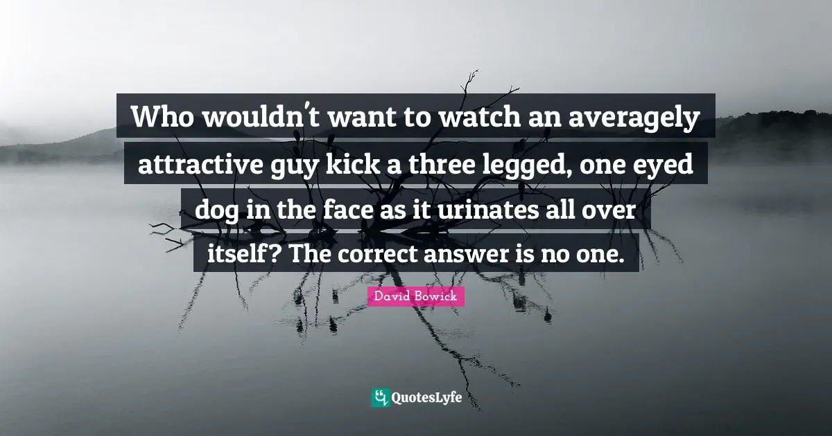 Who wouldn't want to watch an averagely attractive guy kick a three legged, one eyed dog in the face as it urinates all over itself? The correct answer is no one.