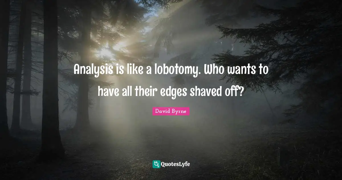 Edges Quotes: "Analysis is like a lobotomy. Who wants to have all their edges shaved off?"