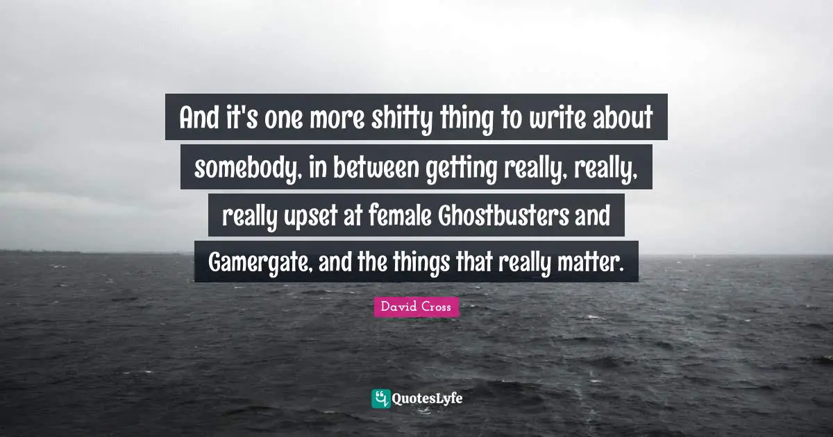 And it's one more shitty thing to write about somebody, in between getting really, really, really upset at female Ghostbusters and Gamergate, and the things that really matter.