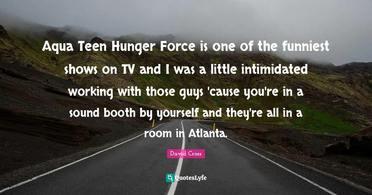 Aqua Teen Hunger Force is one of the funniest shows on TV and I was a little intimidated working with those guys 'cause you're in a sound booth by yourself and they're all in a room in Atlanta.