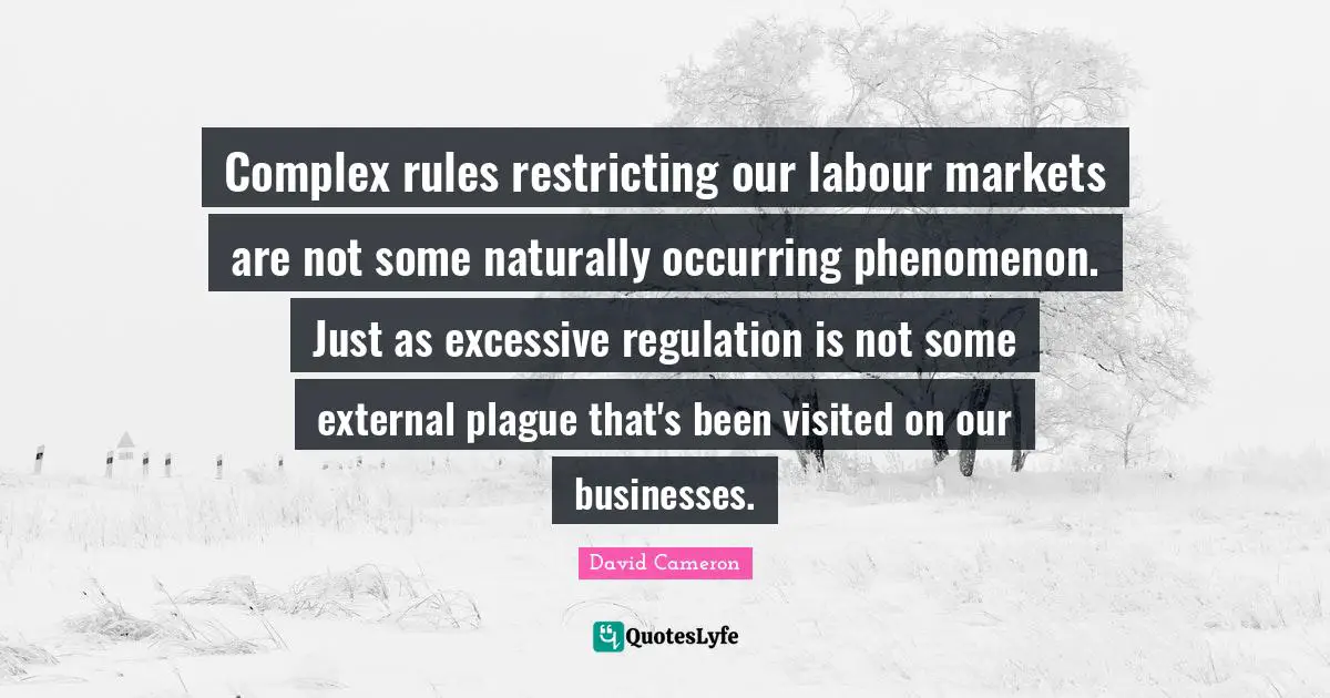 Complex rules restricting our labour markets are not some naturally occurring phenomenon. Just as excessive regulation is not some external plague that's been visited on our businesses.