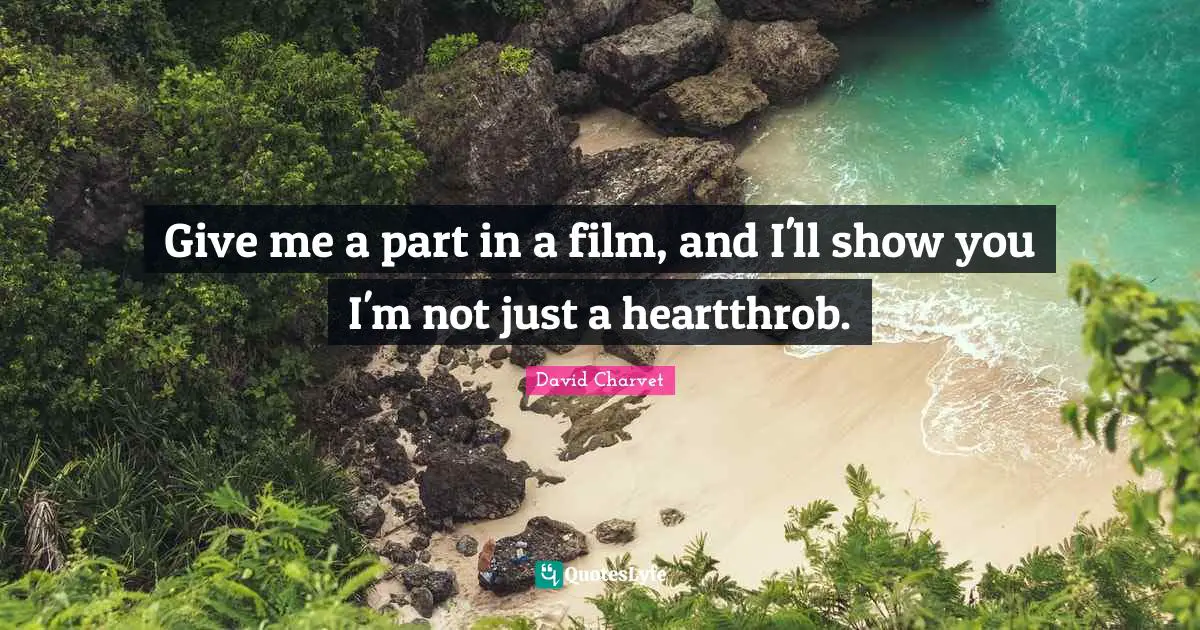 Give me a part in a film, and I'll show you I'm not just a heartthrob.