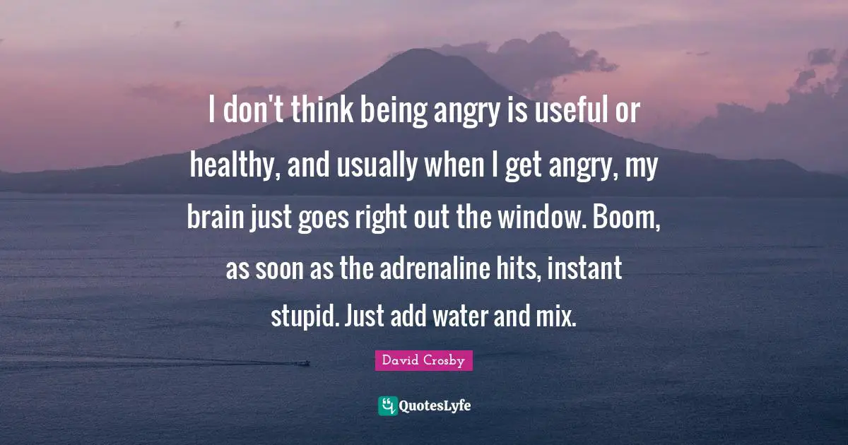I don't think being angry is useful or healthy, and usually when I get angry, my brain just goes right out the window. Boom, as soon as the adrenaline hits, instant stupid. Just add water and mix.
