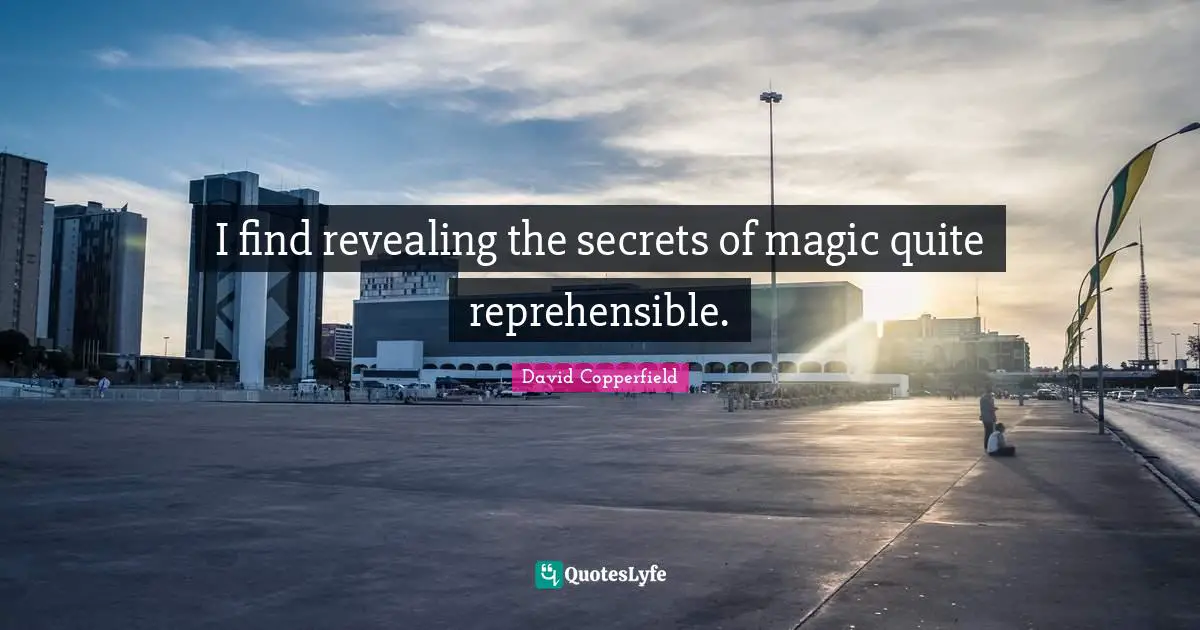 I find revealing the secrets of magic quite reprehensible.