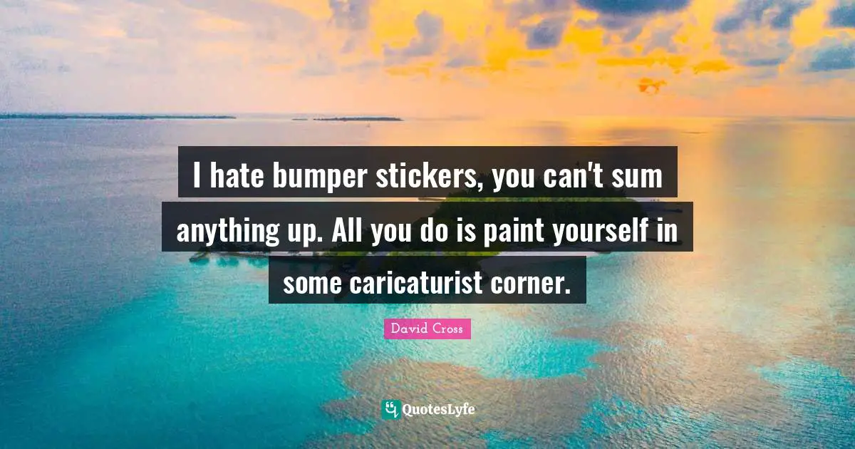 I hate bumper stickers, you can't sum anything up. All you do is paint yourself in some caricaturist corner.