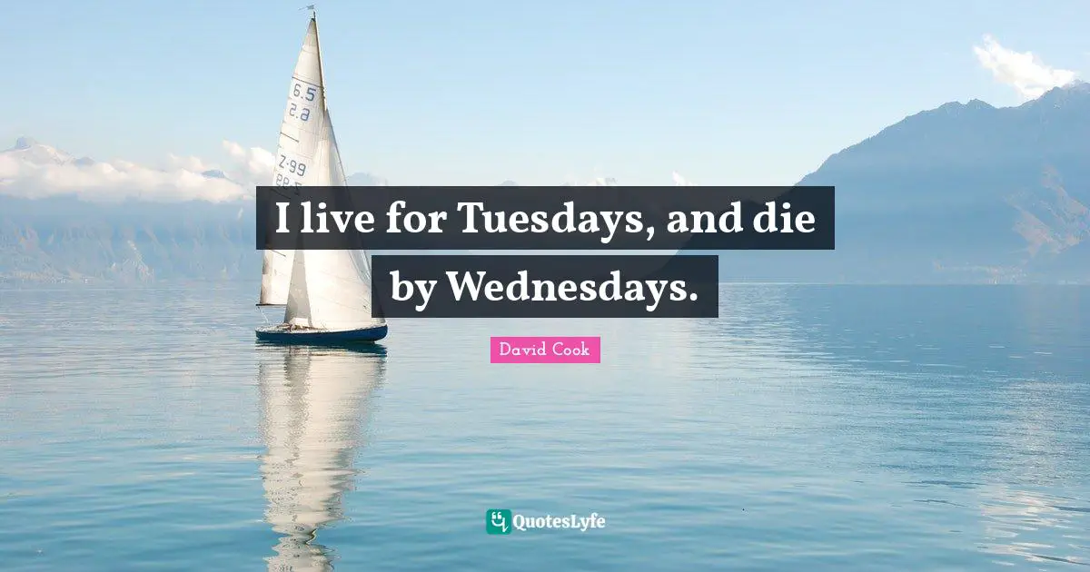 I live for Tuesdays, and die by Wednesdays.