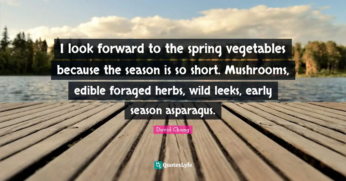 Asparagus Quotes: "I look forward to the spring vegetables because the season is so short. Mushrooms, edible foraged herbs, wild leeks, early season asparagus."