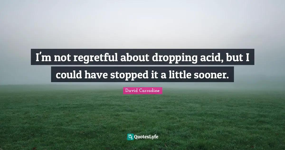 I'm not regretful about dropping acid, but I could have stopped it a little sooner.