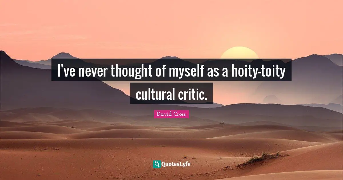 I've never thought of myself as a hoity-toity cultural critic.