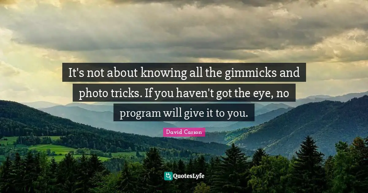David Carson Quotes: It's not about knowing all the gimmicks and photo tricks. If you haven't got the eye, no program will give it to you.