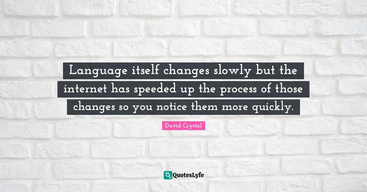 Internet Quotes: "Language itself changes slowly but the internet has speeded up the process of those changes so you notice them more quickly."
