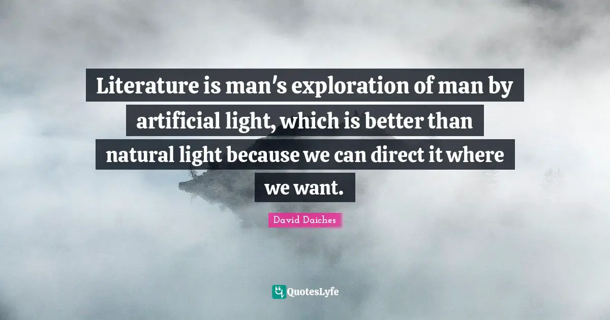 Literature is man's exploration of man by artificial light, which is better than natural light because we can direct it where we want.