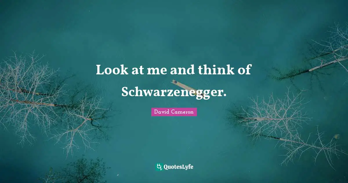 Look at me and think of Schwarzenegger.