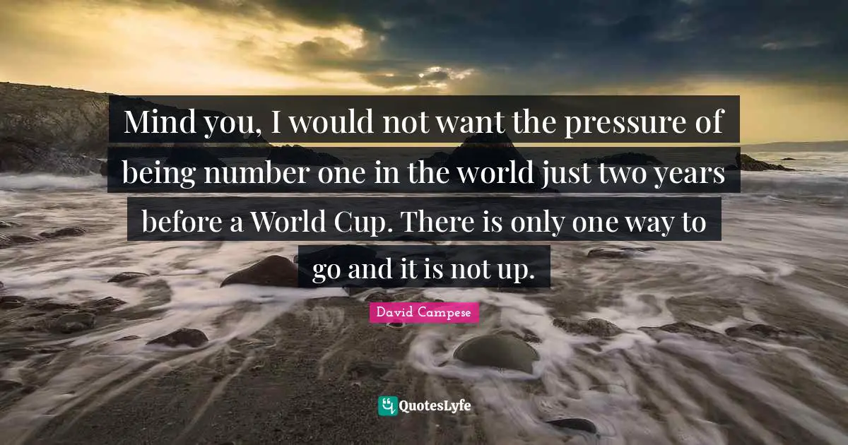 Mind you, I would not want the pressure of being number one in the world just two years before a World Cup. There is only one way to go and it is not up.