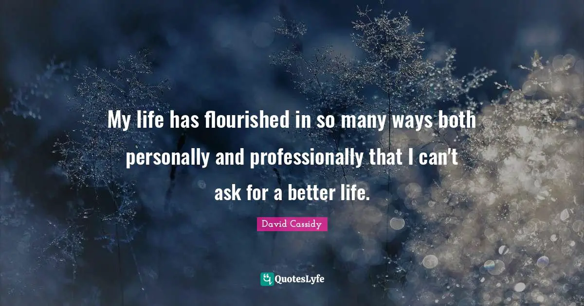 My life has flourished in so many ways both personally and professionally that I can't ask for a better life.
