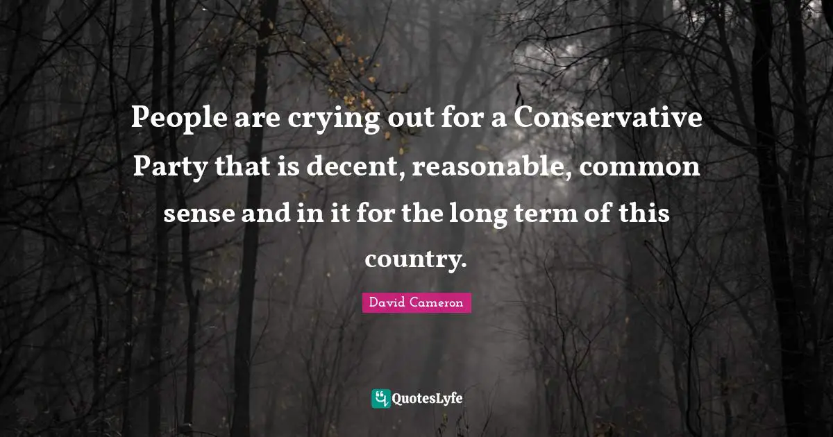 People are crying out for a Conservative Party that is decent, reasonable, common sense and in it for the long term of this country.
