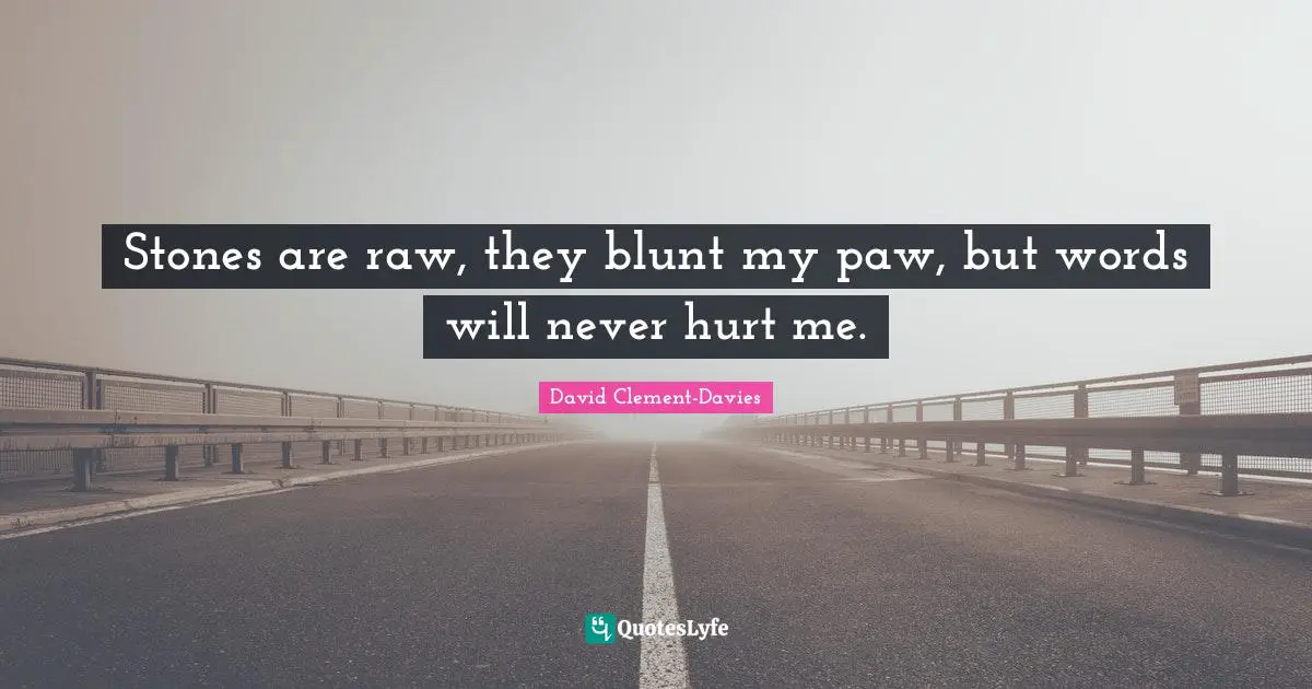 Stones are raw, they blunt my paw, but words will never hurt me.